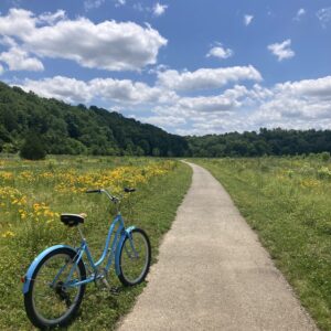 Bi-Weekly Coaching - 2 Meetings/mo Including Follow up
